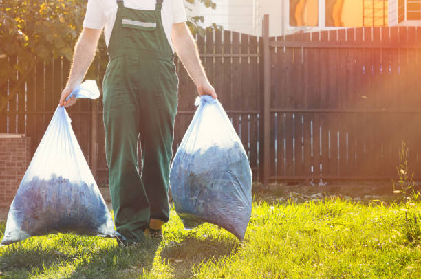 Best Local Junk Hauling  in Hampton, SC