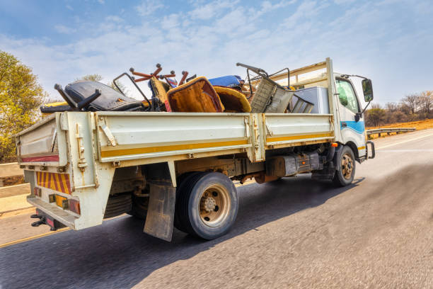 Yard Cleanup Services in Hampton, SC