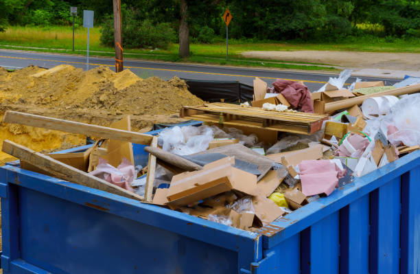 Best Professional Junk Removal  in Hampton, SC